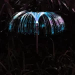 714rHhxziVL._AC_SL1001_