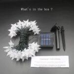 solar string lights