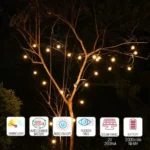 string lights