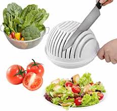 Salad Cutter Bowl