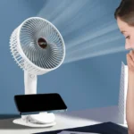 fan1