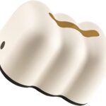 tissue