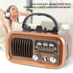Radio Speaker