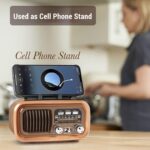 Radio Speaker