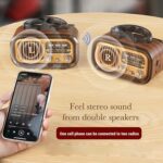 Radio Speaker