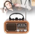 Radio Speaker