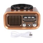 Radio Speaker