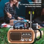 Radio Speaker