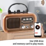 Radio Speaker
