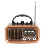 Radio Speaker